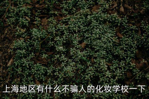 上海地區有什么不騙人的化妝學校一下