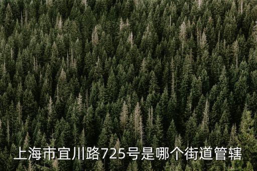 上海市宜川路725號是哪個街道管轄