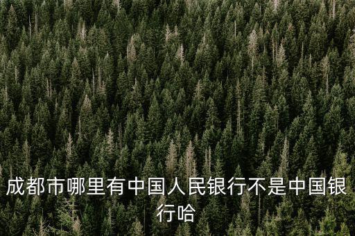 成都市哪里有中國人民銀行不是中國銀行哈