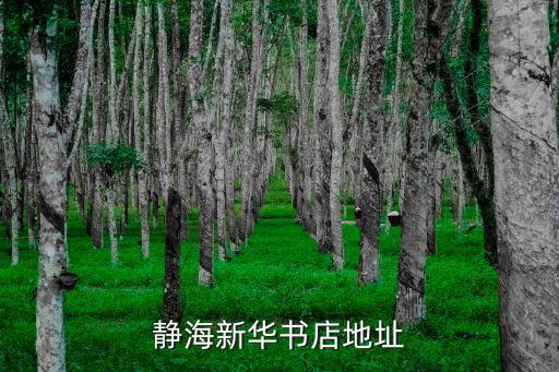 靜海新華書店地址