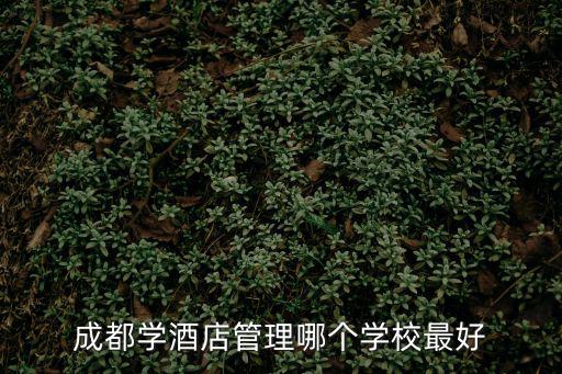 成都學(xué)酒店管理哪個(gè)學(xué)校最好