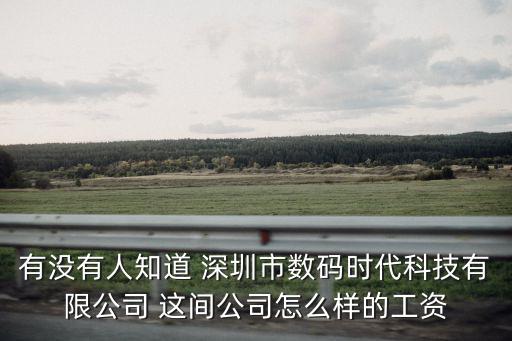有沒(méi)有人知道 深圳市數(shù)碼時(shí)代科技有限公司 這間公司怎么樣的工資