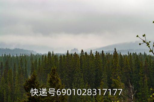 快遞號(hào)6901028317177