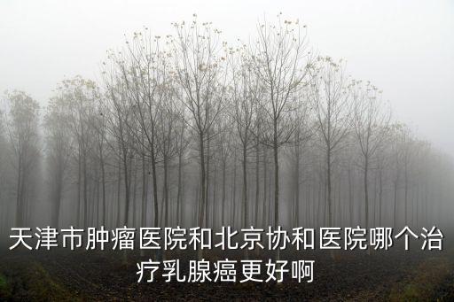 天津市腫瘤醫院和北京協和醫院哪個治療乳腺癌更好啊