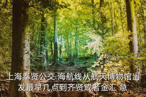 上海奉賢公交 海航線從航天博物館出發最早幾點到齊賢或者金匯 急