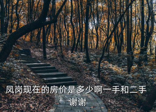 鳳崗現(xiàn)在的房價(jià)是多少啊一手和二手 謝謝