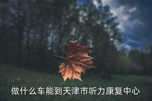 做什么車能到天津市聽力康復中心