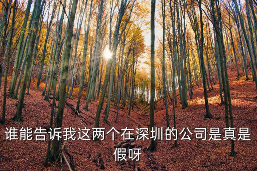 誰能告訴我這兩個在深圳的公司是真是假呀