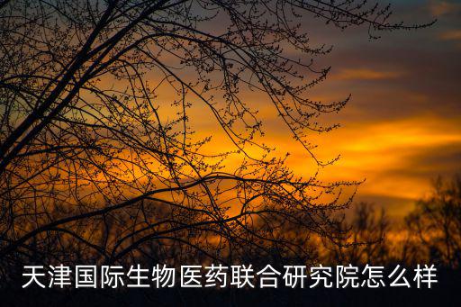 天津國際生物醫藥聯合研究院怎么樣