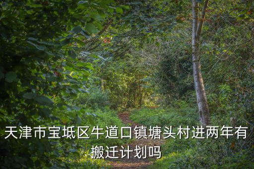 天津市寶坻區牛道口鎮塘頭村進兩年有搬遷計劃嗎