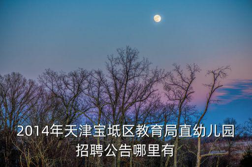 2014年天津寶坻區教育局直幼兒園招聘公告哪里有