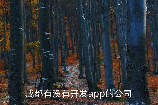 成都有沒有開發app的公司