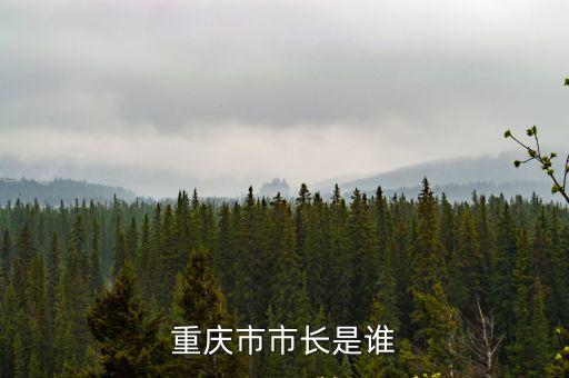 重慶市市長照片，重慶市市長是誰