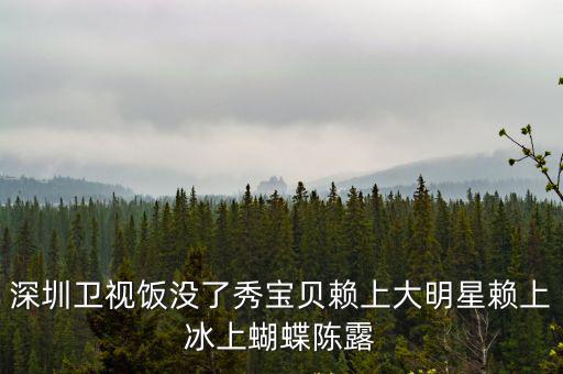 深圳衛視飯沒了秀自我介紹的視頻，深圳衛視飯沒了秀寶貝賴上大明星賴上冰上蝴蝶陳露