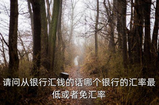 請(qǐng)問(wèn)從銀行匯錢的話哪個(gè)銀行的匯率最低或者免匯率