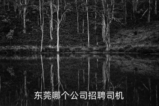 東莞哪個(gè)公司招聘司機(jī)