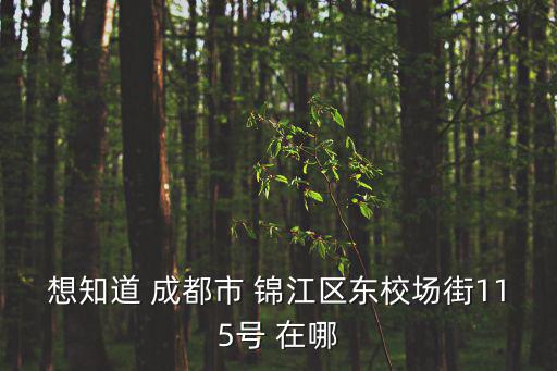 想知道 成都市 錦江區(qū)東校場(chǎng)街115號(hào) 在哪