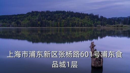 上海市浦東新區張楊路601號浦東食品城1層