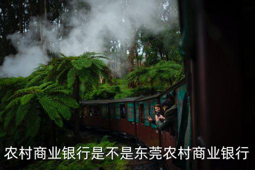 農(nóng)村商業(yè)銀行是不是東莞農(nóng)村商業(yè)銀行