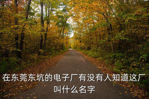 東莞東坑華鑫電子，東莞東坑鎮(zhèn)哪有電子城