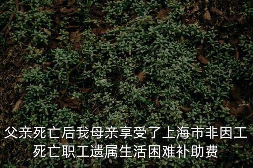 父親死亡后我母親享受了上海市非因工死亡職工遺屬生活困難補(bǔ)助費(fèi)
