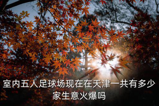室內五人足球場現在在天津一共有多少家生意火爆嗎