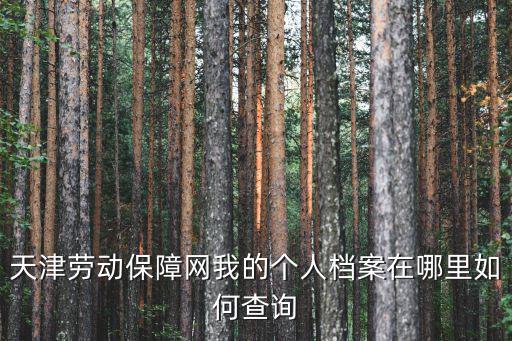 天津勞動保障網我的個人檔案在哪里如何查詢