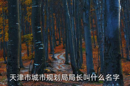 天津市河北區(qū)規(guī)劃局局長是誰，天津市河北區(qū)規(guī)劃