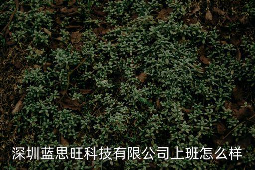 深圳藍思旺科技有限公司上班怎么樣