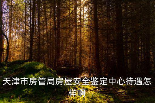 天津市住房保障審核人員的工資待遇，天津市房管局房屋安全鑒定中心待遇怎樣啊