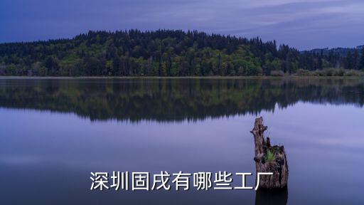 深圳佛固加固公司，深圳固戌有哪些工廠