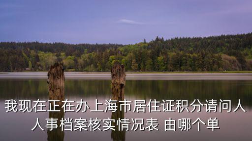 我現(xiàn)在正在辦上海市居住證積分請問人人事檔案核實情況表 由哪個單