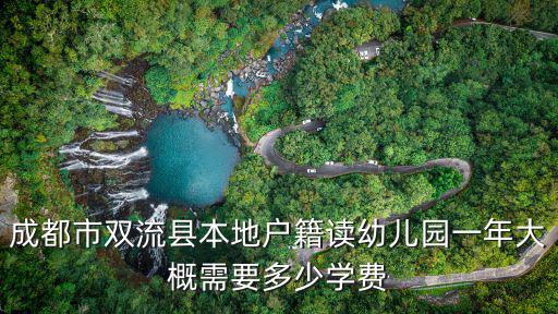 成都市雙流縣本地戶籍讀幼兒園一年大概需要多少學費
