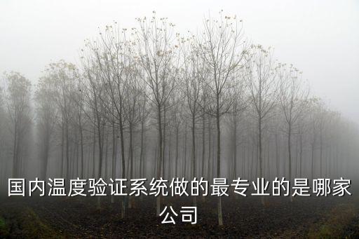 國(guó)內(nèi)溫度驗(yàn)證系統(tǒng)做的最專(zhuān)業(yè)的是哪家公司