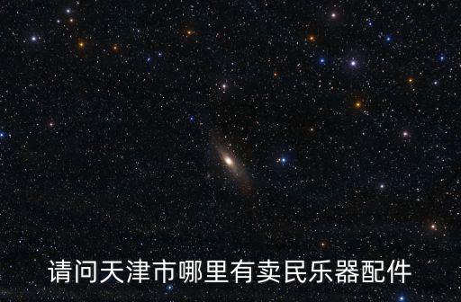 請(qǐng)問天津市哪里有賣民樂器配件