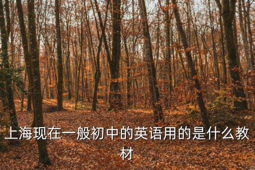 上?，F在一般初中的英語用的是什么教材