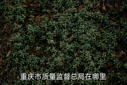 重慶市技術監督局公眾信息網，質量技術監督局公眾信息網這個的簡稱是不是叫質監局