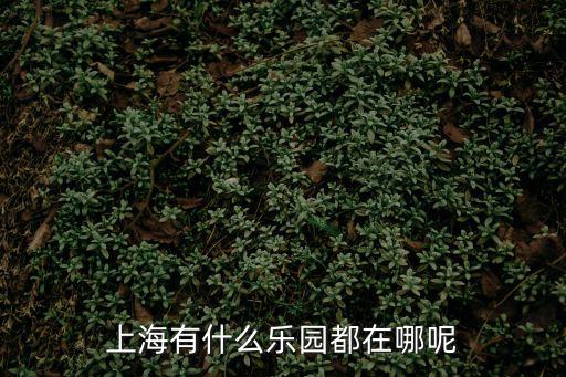 上海有什么樂園都在哪呢
