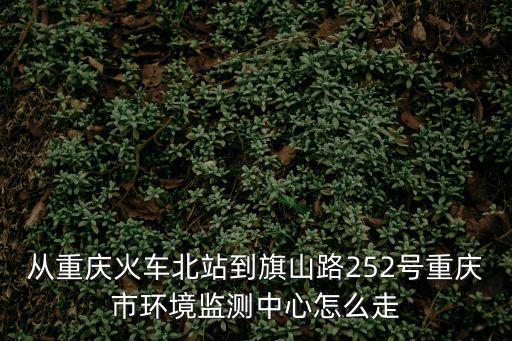 從重慶火車北站到旗山路252號重慶市環(huán)境監(jiān)測中心怎么走