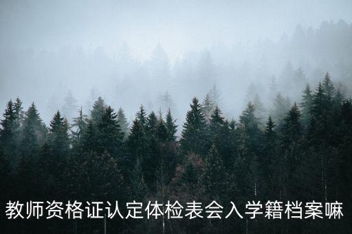 教師資格證認定體檢表會入學籍檔案嘛