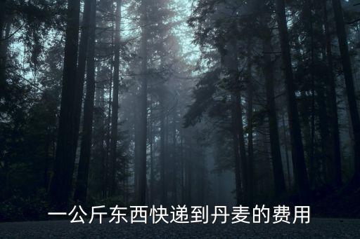 一公斤東西快遞到丹麥的費用