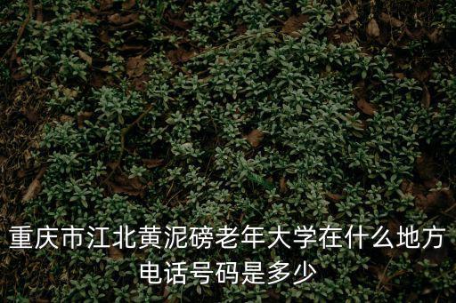 重慶市江北黃泥磅老年大學(xué)在什么地方電話號碼是多少