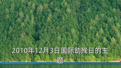 2010年12月3日國際助殘日的主題
