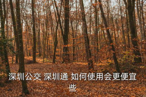深圳僮，購物能用深圳通嗎