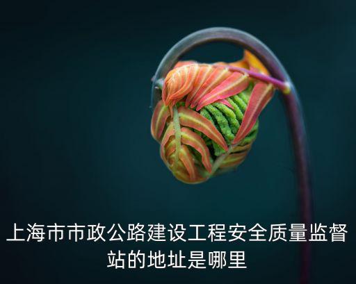 上海市市政公路建設工程安全質量監督站的地址是哪里