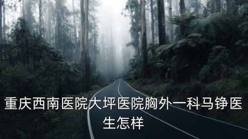 重慶西南醫院大坪醫院胸外一科馬錚醫生怎樣