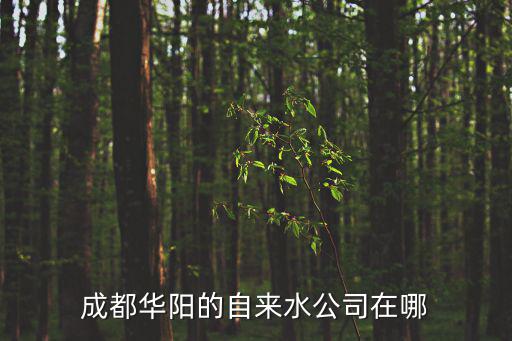 成都市自來水供水營業(yè)廳在哪里，成都華陽的自來水公司在哪