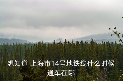 想知道 上海市14號地鐵線什么時候通車在哪