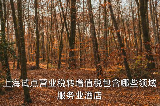 上海試點營業稅轉增值稅包含哪些領域服務業酒店