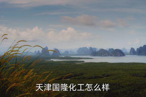 天津國隆化工怎么樣
